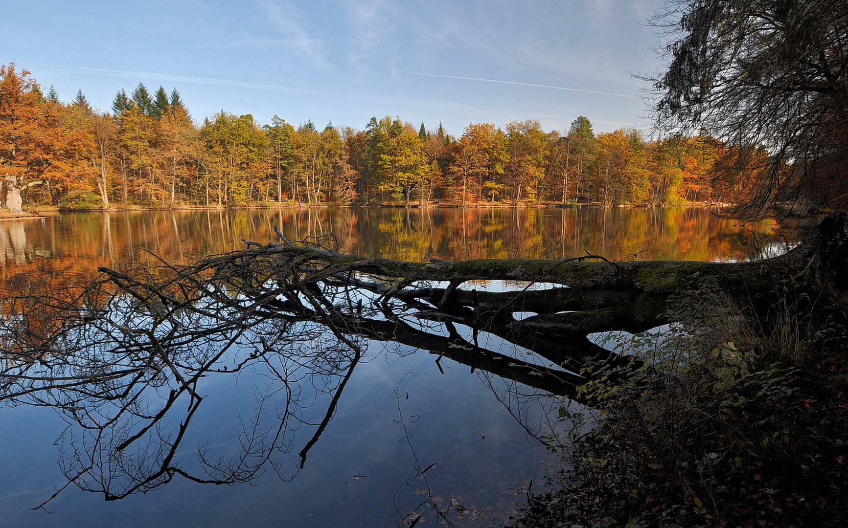 Herbst am Pfaffensee in Stuttgart