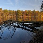 Herbst am Pfaffensee in Stuttgart