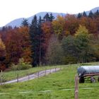 Herbst am Pfisterberg