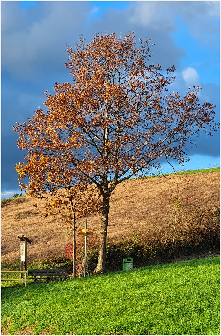 Herbst am Pilgerweg