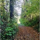 Herbst am Pilgerweg