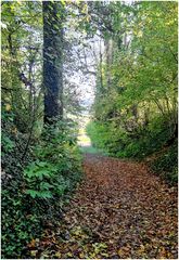 Herbst am Pilgerweg