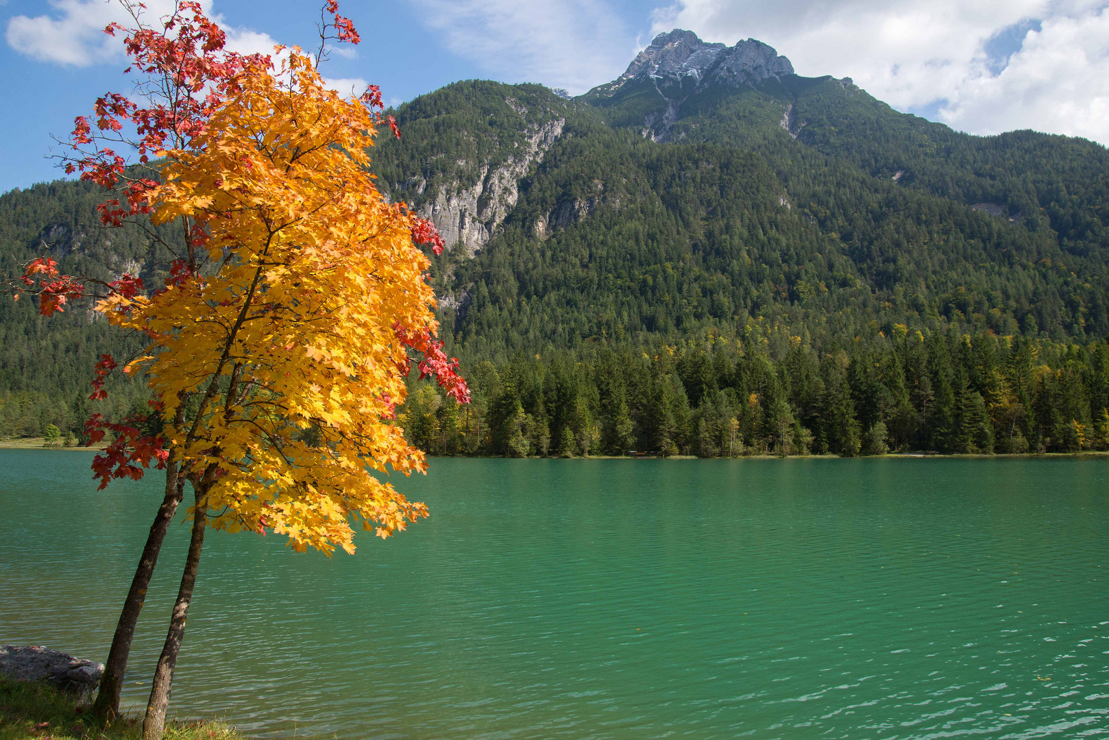 Herbst am Pillersee