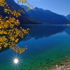 Herbst am Plansee