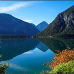 Herbst am Plansee / Tirol (1)