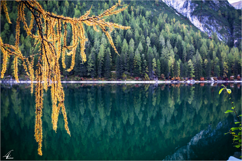 Herbst am Pragser Wildsee (2)