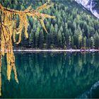 Herbst am Pragser Wildsee (2)