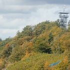 Herbst am Prinzenkopfturm