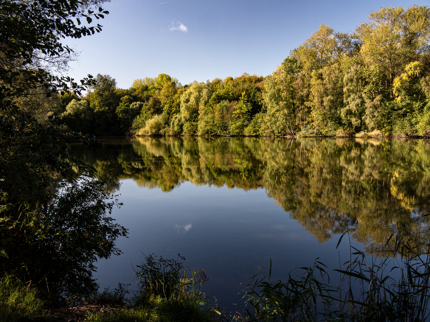 Herbst am Rahwegteich