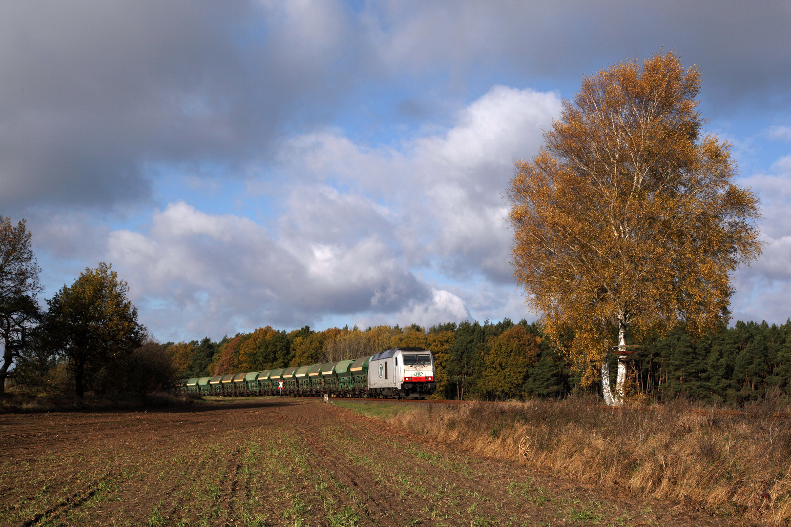 Herbst am Rande des Löwenberger Landes