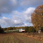 Herbst am Rande des Löwenberger Landes