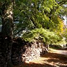 Herbst am Randecker Maar