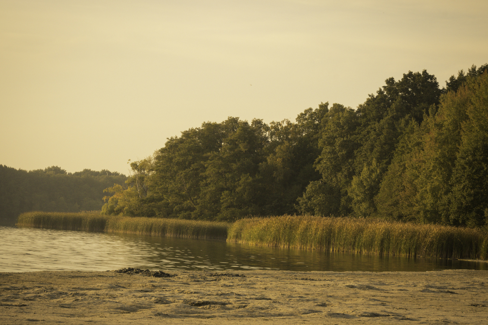 Herbst am Rangsdorfer See