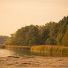 Herbst am Rangsdorfer See