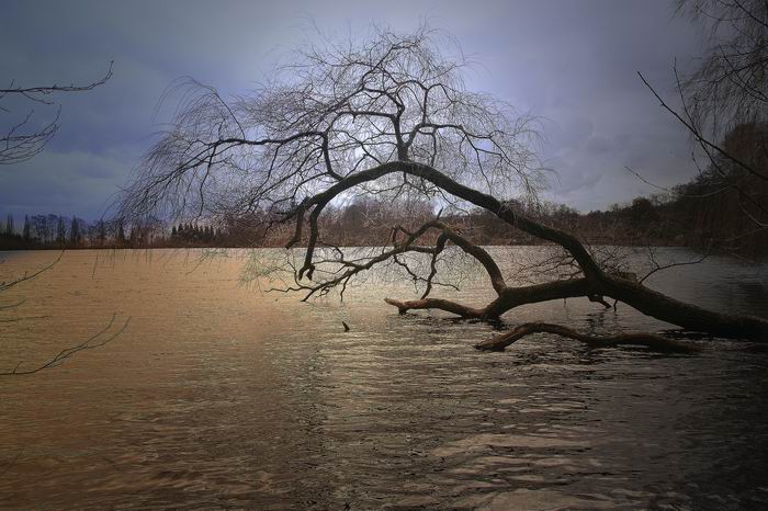 Herbst am Rantzauer See