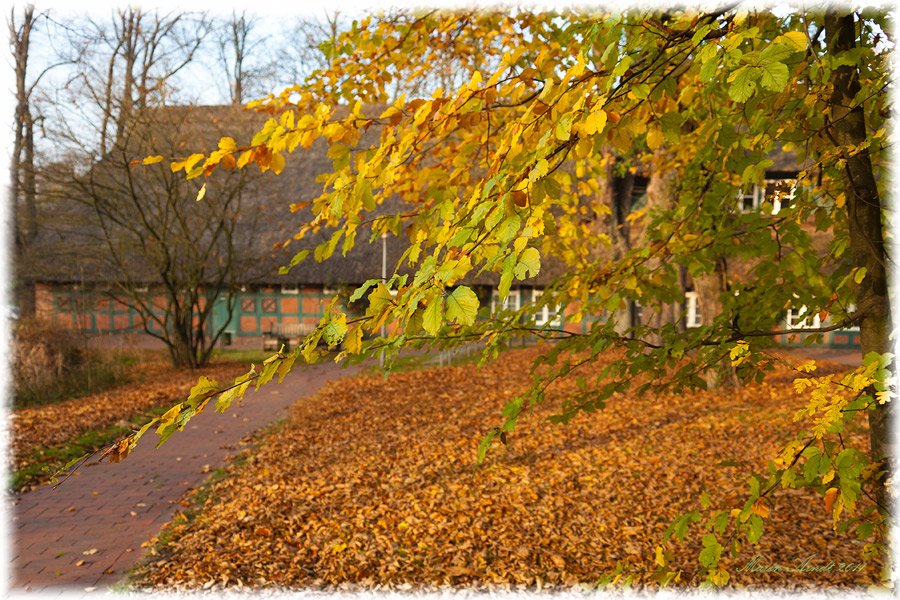 Herbst am Rathaus Worpswede