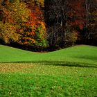 Herbst am Rechberg