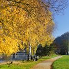 Herbst am Regen in Regenstauf