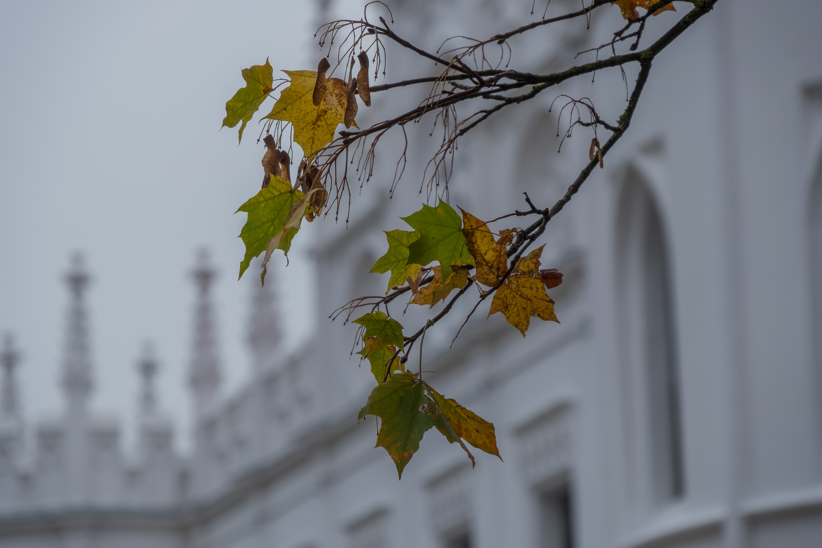 Herbst am Reichenschwander Schloss