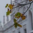 Herbst am Reichenschwander Schloss