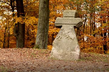 Herbst am Rennsteig