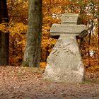 Herbst am Rennsteig