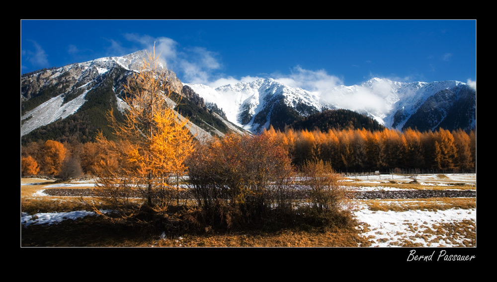 Herbst am Reschenpaß