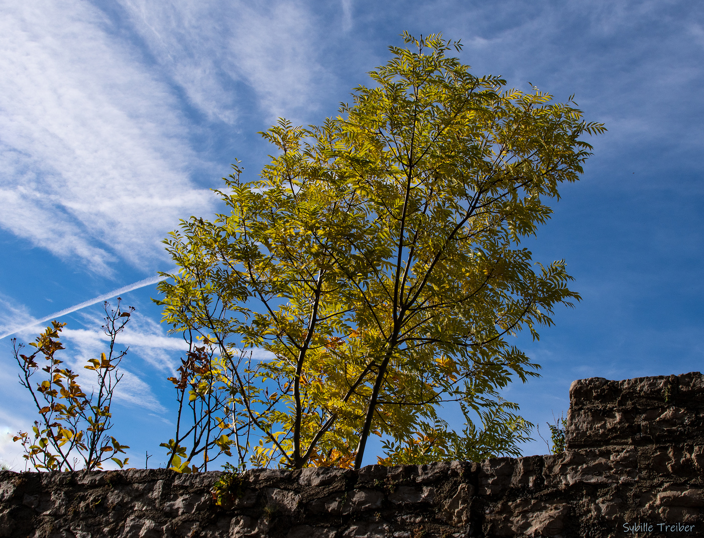 Herbst am Reußenstein