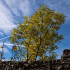 Herbst am Reußenstein