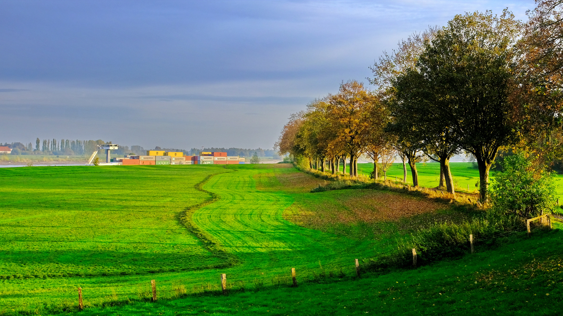 Herbst am Rhein 