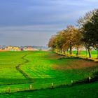 Herbst am Rhein 