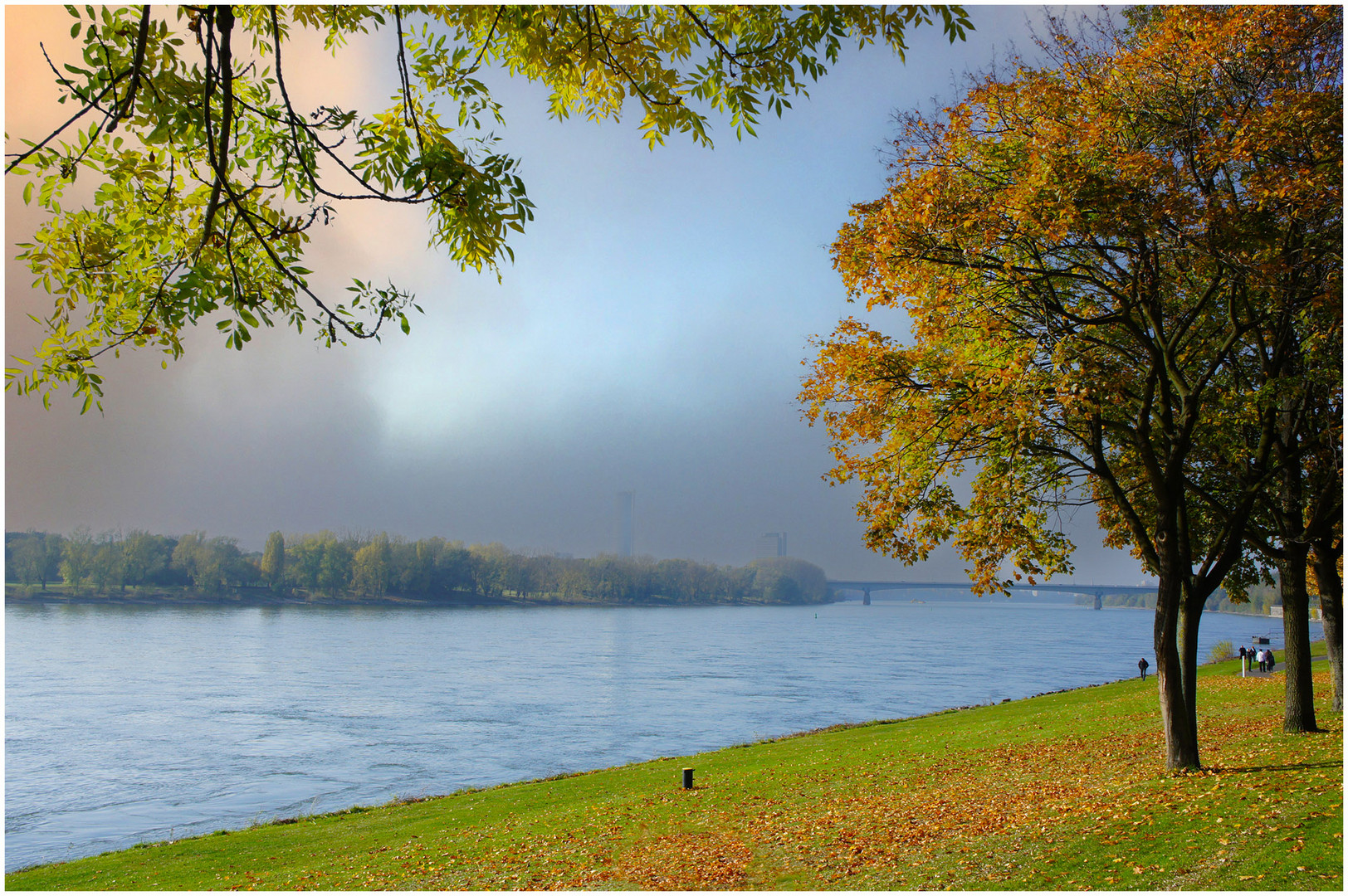 Herbst am Rhein