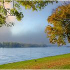 Herbst am Rhein