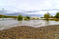 Herbst am Rhein