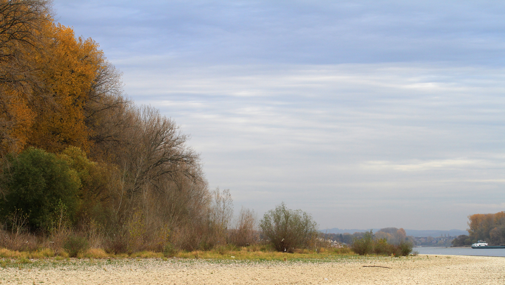 Herbst am Rhein ...