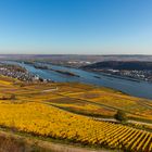 Herbst am Rhein