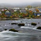 Herbst am Rhein