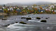 Herbst am Rhein