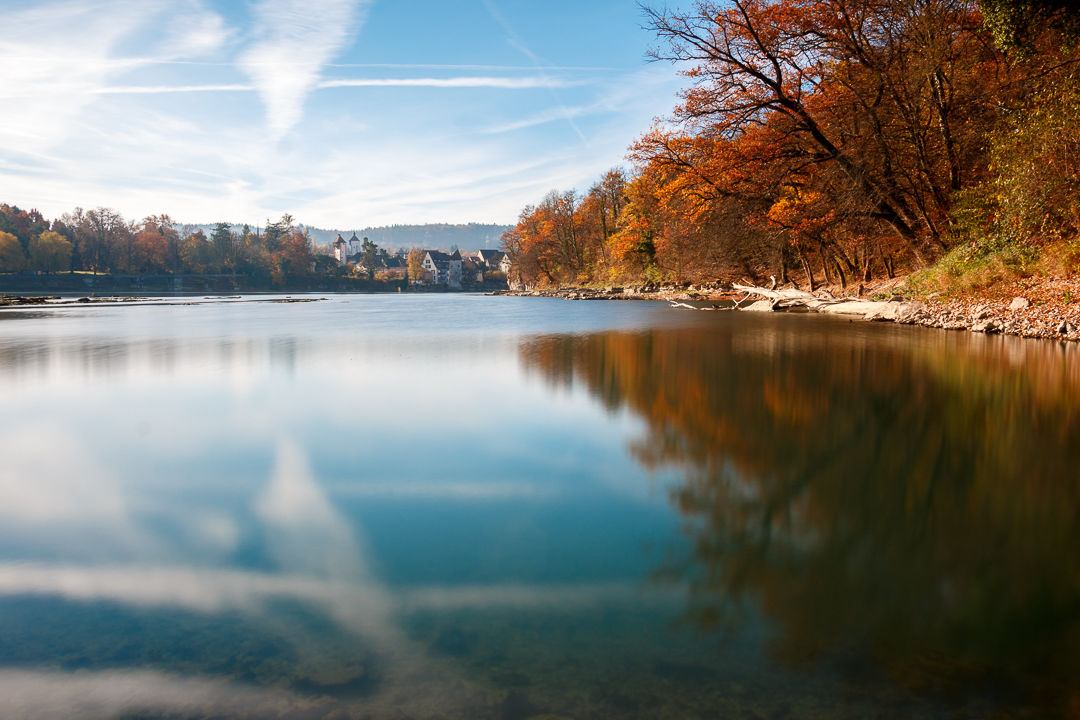 Herbst am Rhein