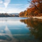 Herbst am Rhein