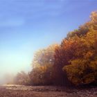 Herbst am Rhein