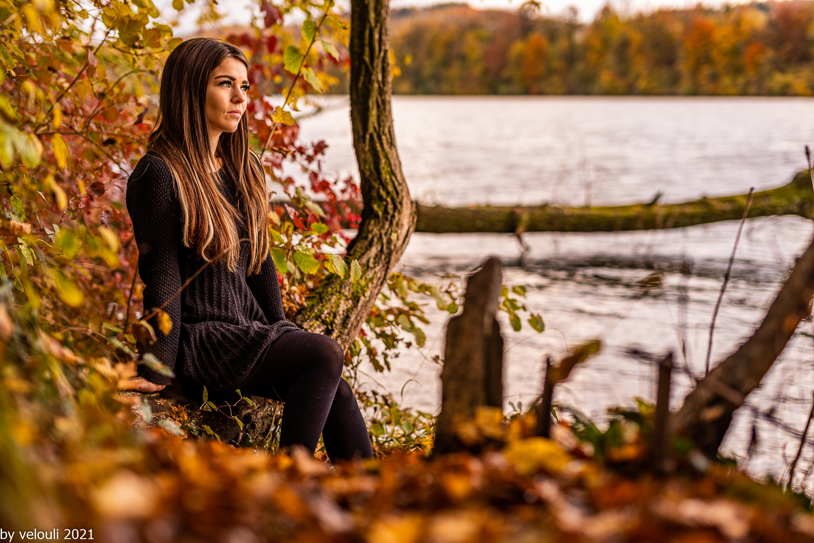 Herbst am Rhein