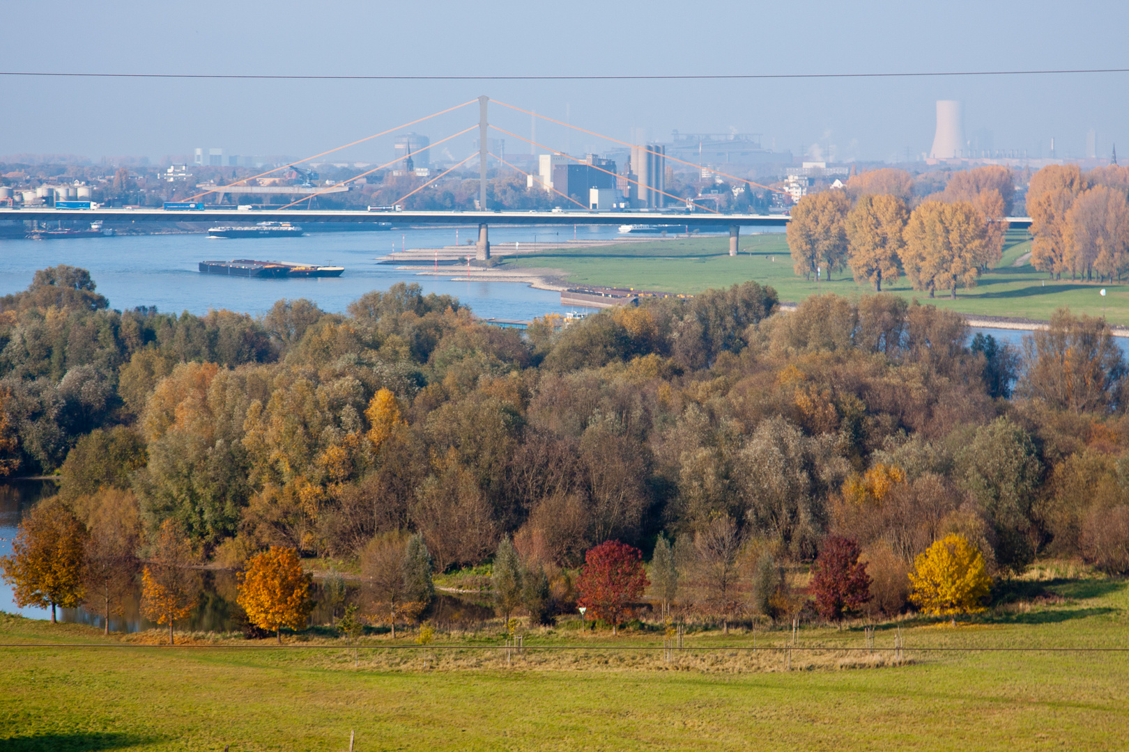 Herbst am Rhein