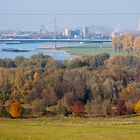 Herbst am Rhein