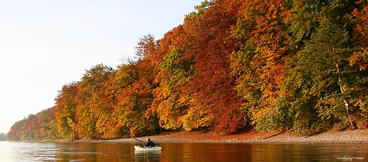 Herbst am Rhein