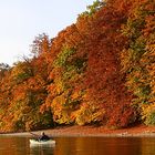 Herbst am Rhein