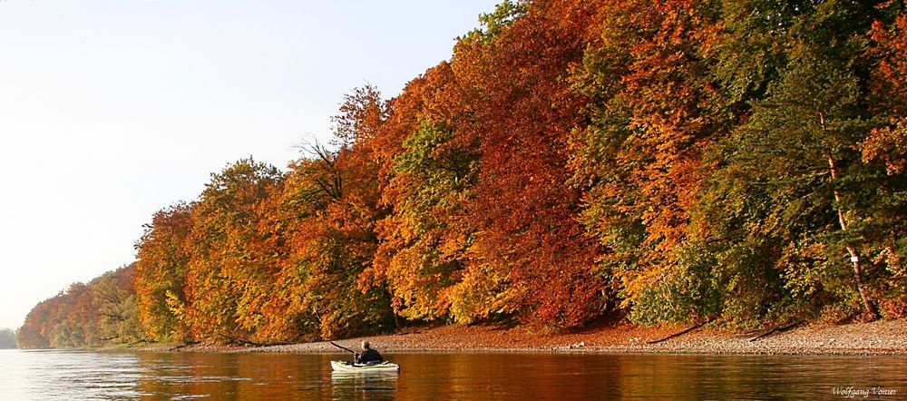 Herbst am Rhein