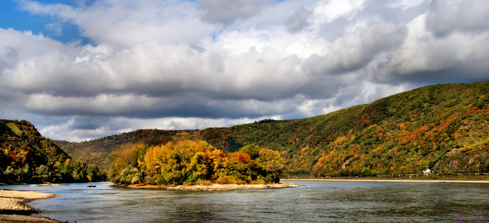 Herbst am Rhein