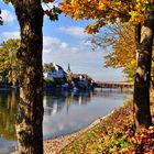 Herbst am Rhein 3