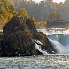 Herbst am Rhein 